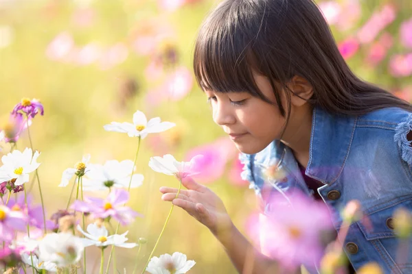 Pouco asiático menina no cosmos flor — Fotografia de Stock