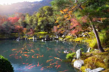 Zen Bahçesi tenryu-ji Tapınağı