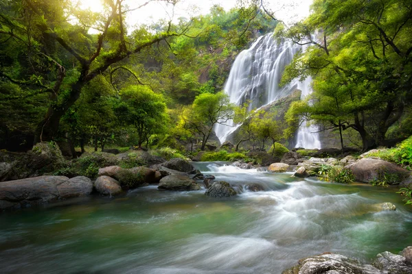 Cascada en el bosque — Foto de Stock