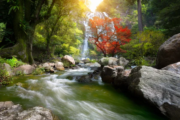 Corriente de montaña y cascada — Foto de Stock