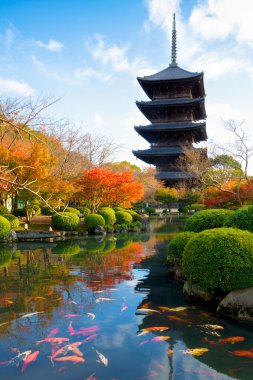 Toji Tapınağı, Japonya