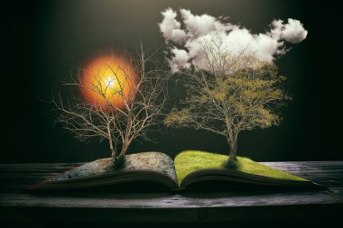 Küresel ısınma kavramı