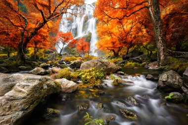 Waterfall in the autumn clipart