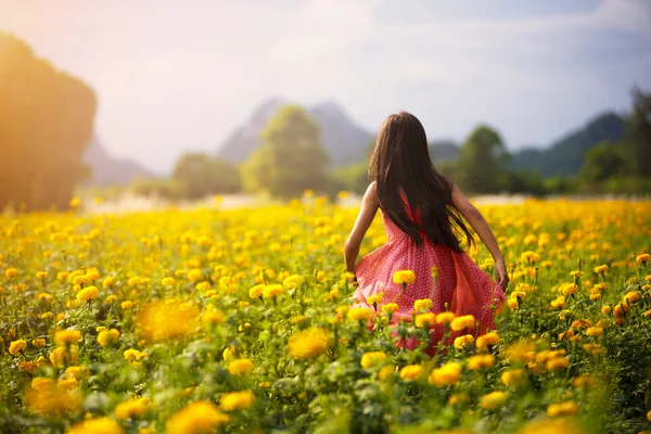 Piccola ragazza asiatica nei campi di fiori — Foto Stock