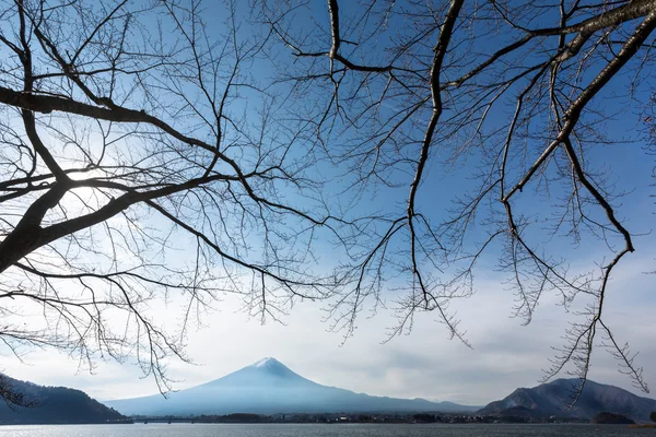 Oishi Park — Stok fotoğraf