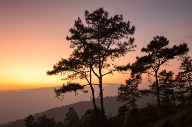Huai Nam Dang Milli Parkı