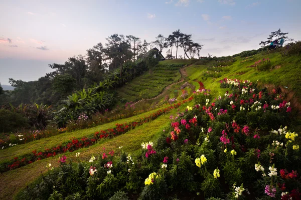 Parque Nacional Huai Nam Dang — Foto de Stock