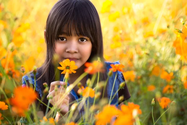 Campo de flores — Fotografia de Stock