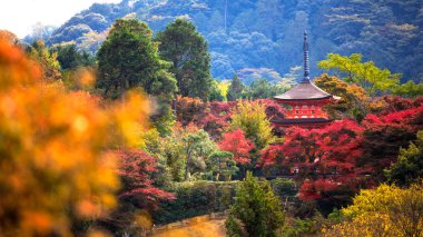 Kiyomizu-Dera