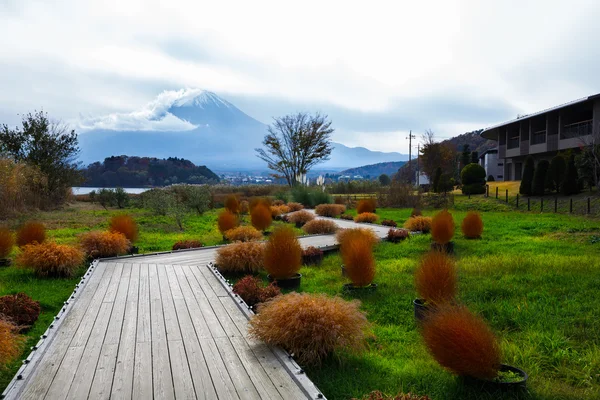 Fuji Japan — Stockfoto