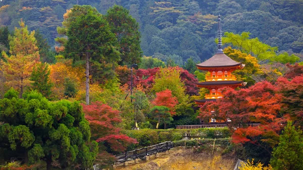 Kiyomizu-dera — Stockfoto