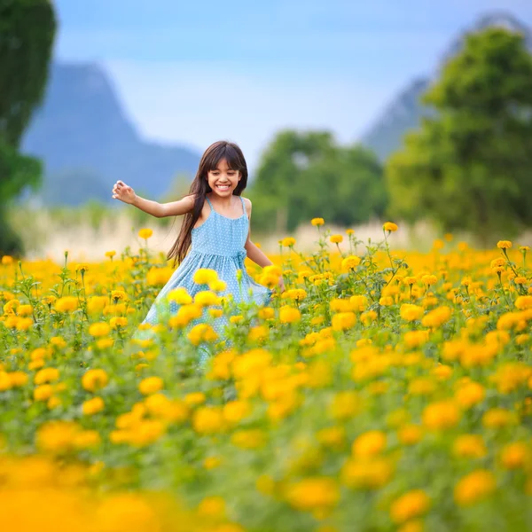 Marigold field — Stock Photo, Image