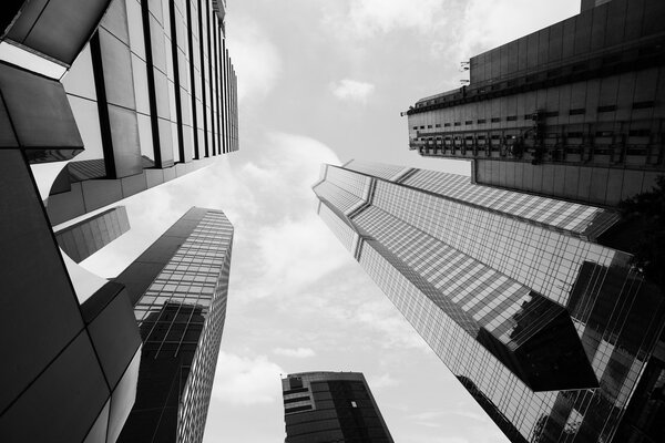 High business buildings in black and white