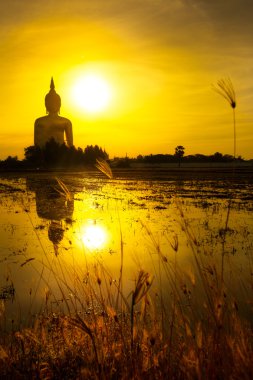 WAT muang