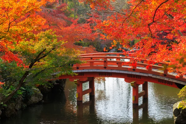 Autumn park — Stock Photo, Image