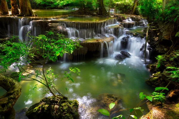 Corrente di montagna — Foto Stock