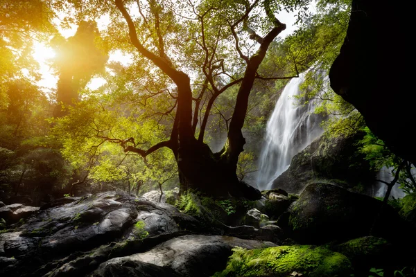 Cascadas del bosque profundo — Foto de Stock