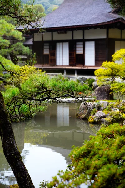 Ogród japoński w świątyni Ginkakuji, — Zdjęcie stockowe