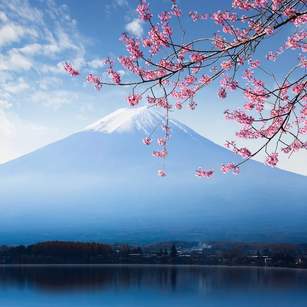 Mt. fuji e flor de cereja — Fotografia de Stock