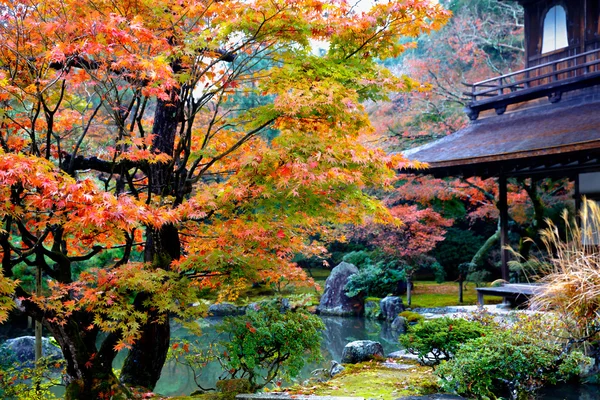 Sonbahar mevsiminde Japon bahçesi — Stok fotoğraf