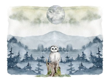 Baykuşun gerçekçi grafik görüntüsü, illüstrasyon