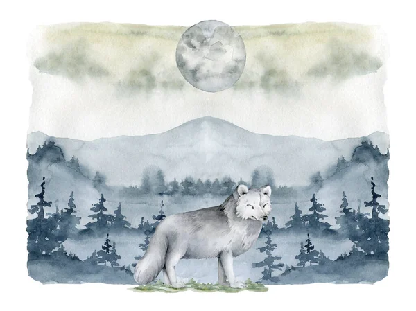 手绘水彩画现实的白狼 — 图库照片