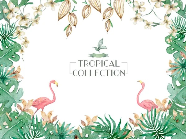 Conjunto Tropical Aquarela Desenhado Mão Folhas Exóticas Ilustrações Árvore Selva — Fotografia de Stock