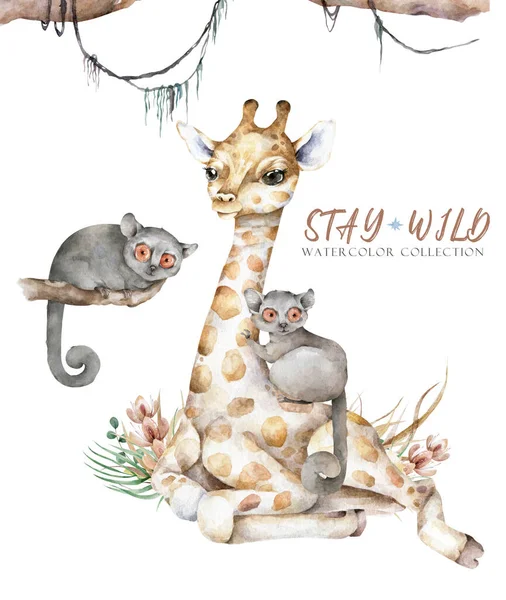 Cartaz Com Girafa Desenhos Animados Aquarela Girafa Ilustração Animal Tropical — Fotografia de Stock