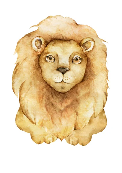 Cute baby lion for newborns events. Hand drawn watercolor wildlife — Stock Photo, Image