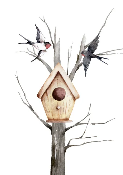 Polkni Stodolu Létající Pták Kolem Ptačí Budky Stromu — Stock fotografie
