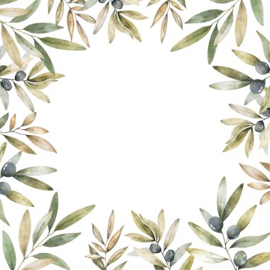 Beyaz arka planda siyah ve yeşil zeytinlerden oluşan pürüzsüz kenarlı yatay bir afiş. Zeytinyağı, doğal kozmetik ürünleri, sağlık ürünleri için tasarım. Metin için yer.