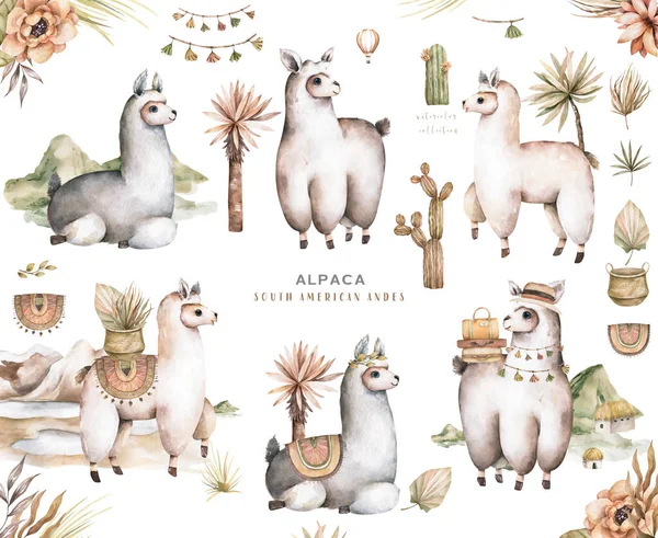 Dibujos animados lama acuarela ilustraciones. Lindos personajes de llamas alpaca sonriendo, caminando, saltando, durmiendo en el desierto del Perú con cactus. Colección de animales mexicanos lama divertido aislado en blanco —  Fotos de Stock