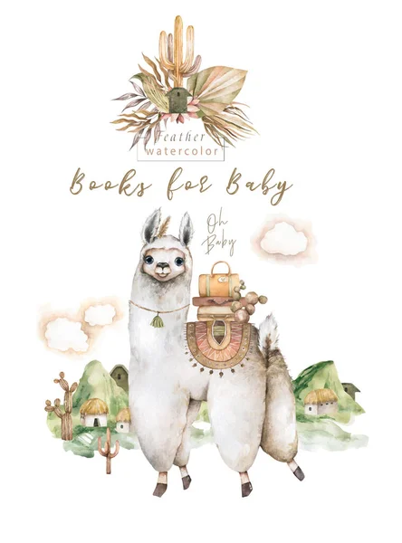 Baby Shower para chico, chica. Lindos personajes de llamas alpaca sonriendo, caminando, en el desierto del Perú con cactus. Colección de animales mexicanos lama divertido aislado en blanco —  Fotos de Stock