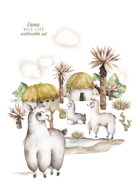 Детский душ для мальчика, девочка. Симпатичные персонажи ламы альпака, улыбающиеся, гуляющие, по перуанскому пустынному пейзажу с кактусами. Мексиканский смешной лама животных коллекция изолированы на белом — стоковое фото