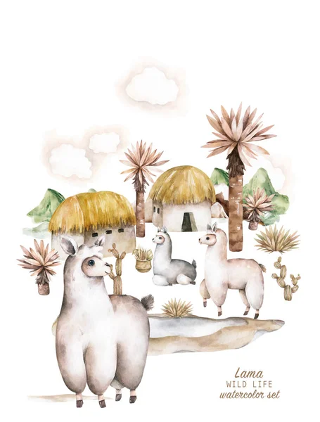 Baby Shower para chico, chica. Lindos personajes de llamas alpaca sonriendo, caminando, en el desierto del Perú con cactus. Colección familia lama animal divertida mexicana aislada en blanco —  Fotos de Stock