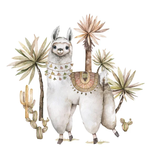 卡通美洲驼水彩画。可爱的美洲驼角色笑着，走着，带着仙人掌在秘鲁沙漠中漫步。墨西哥有趣的羊驼动物系列在白色上被分离出来 — 图库照片