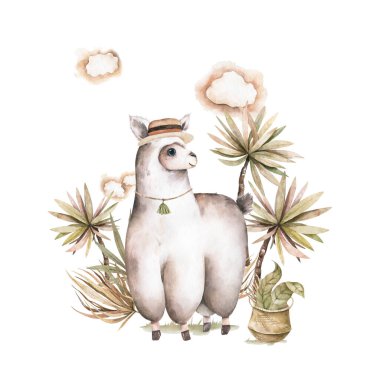 Bebek odası için güzel bir el çizilmiş lama. Bebek duşu kartı için avuç içi olan suluboya hayvan.