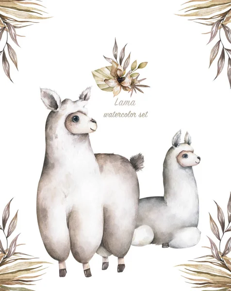 Desenhos animados llama ilustrações aquarela. Personagens de lhamas alpaca bonitos sorrindo, caminhando, na paisagem do deserto do Peru com cactos. Mexicano engraçado lama animal coleção isolada em branco — Fotografia de Stock