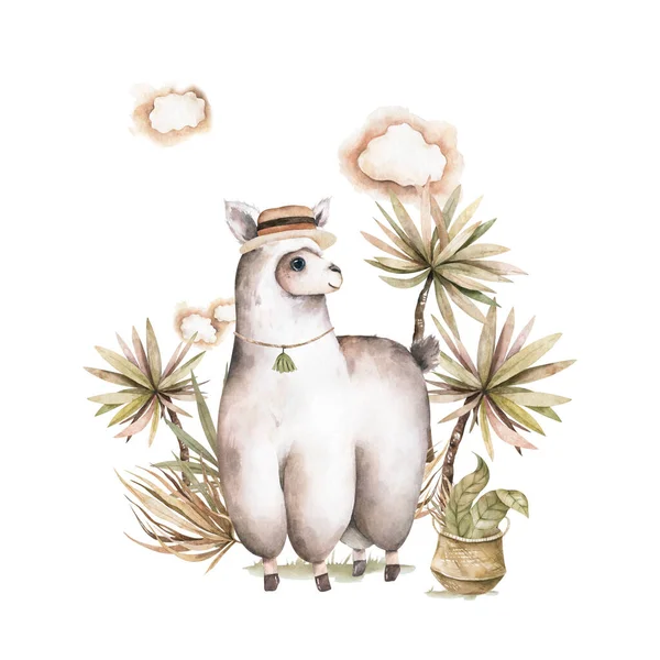 Bebek odası için güzel bir el çizilmiş lama. Bebek duşu kartı için avuç içi olan suluboya hayvan.