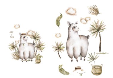 Bebek odası için güzel bir el çizilmiş lama.