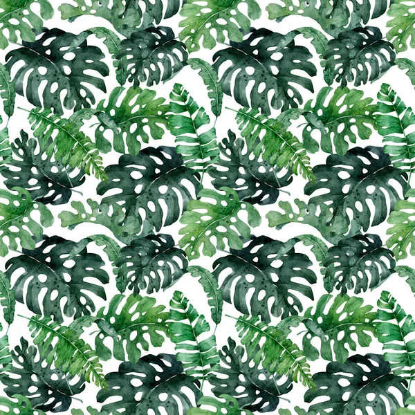 Padrão tropical com folhas da selva, palmeira. Folhas exóticas ilustrações quadro horizontal, árvore da selva no fundo branco — Fotografia de Stock