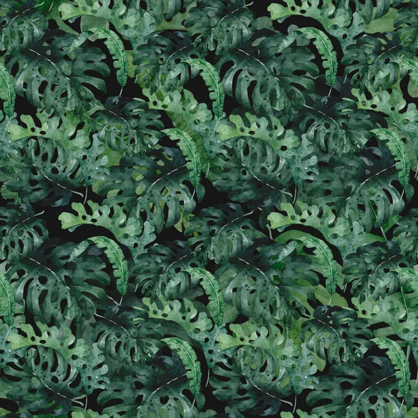 Padrão tropical com folhas da selva, palmeira. Folhas exóticas ilustrações quadro horizontal, árvore da selva no fundo branco — Fotografia de Stock