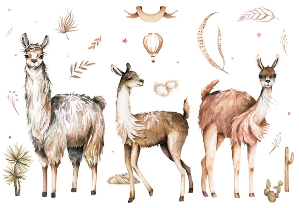 Ilustracje kreskówki llamaset rodziny akwareli. Cute alpaka lamy znaków uśmiecha, spacery, w Peru pustyni krajobraz z kaktusami. Meksykańska zabawna lama zwierząt kolekcja izolowane na białym — Zdjęcie stockowe