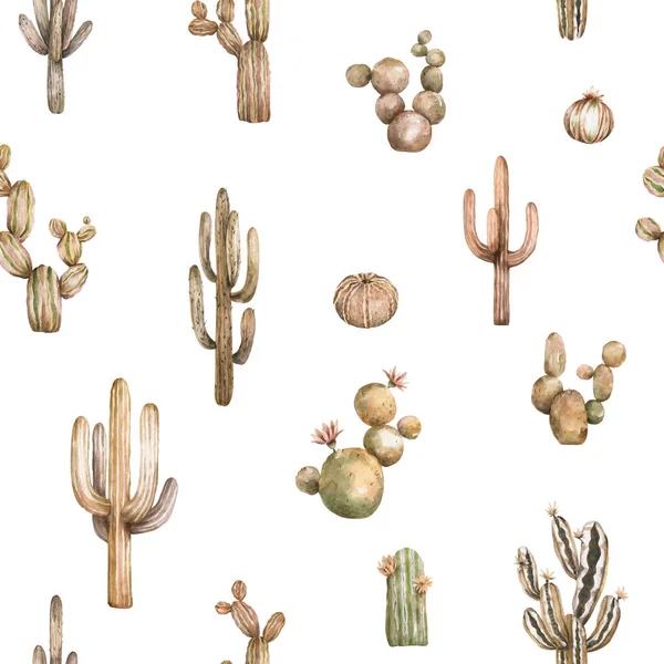 Akvarel Bezešvné Opuntia Kaktus Vzor Pozadí — Stock fotografie