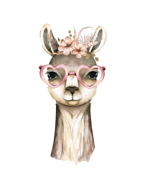 Cabeza de Lama aislada. cara de guanaco en estilo acuarela. Animales de la naturaleza salvaje con flores y hojas en la cabeza, gafas. Elemento para su anuncio, póster, impresión, banner o diseño web. —  Fotos de Stock