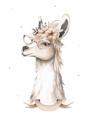 Lama kafası izole edildi. Suluboya stilinde guanaco suratı. Kafasında çiçekler ve yapraklar olan vahşi bir hayvan, gözlük. Reklamınız, posteriniz, baskınız, afişiniz ya da web tasarımınız için.