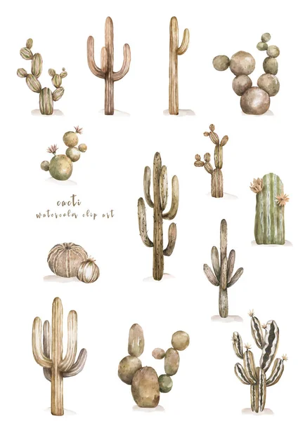 Plantas de cactus planta del desierto, acuarela color marrón, dibujado a mano conjunto decorativo realista aislado ilustración — Foto de Stock