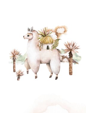 Tatlı suluboya lama, beyaz üzerinde izole edilmiş alpaka çizimi. Etnik battaniyeli lama izi, çiçek çelengi, çiçek buketi ve Meksika boho süslemesi.