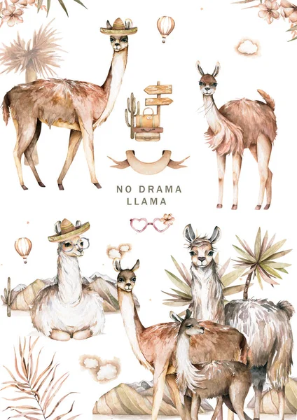 Cartoon Lama Ploché Ilustrace Roztomilé Lamy Alpaka Postavy Úsměvem Chůze — Stock fotografie