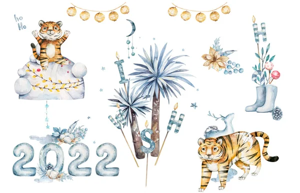 Happy Chinese New Year 2022 Cartoon Tiger Holding Gold Blessing — Stock Photo, Image